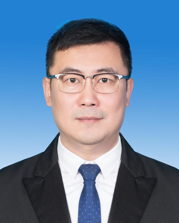 党委委员,组织部部长 王鹏